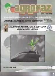 205_ART_12_02 G NUÃEZ.pdf - FAZ-UJED - Universidad JuÃ¡rez ...