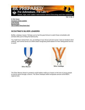 SCOUTING'S SILVER LEADERS - Scoutstuff.org