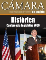 EdiciÃ³n octumbre-noviembre 2009 - CÃ¡mara de Comercio de Puerto ...