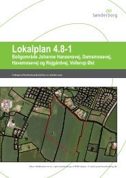 Lokalplan 4.8-1 - 16-12-2009