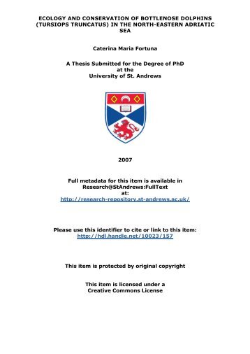 Caterina Maria Fortuna PhD Thesis - University of St Andrews