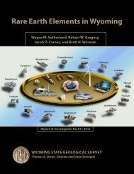 rare earth elements in Wyoming - Wyoming State Geological Survey ...