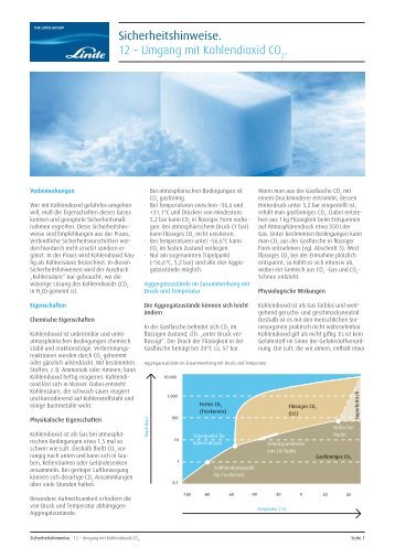 Sicherheitshinweise. 12 – Umgang mit Kohlendioxid CO .