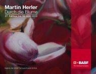 Martin Herler - kunst-raum / schulte-goltz + noelte