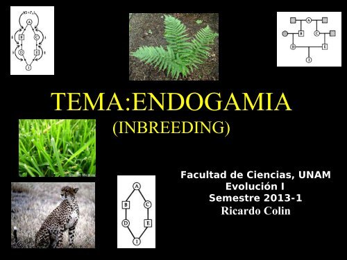 TEMA:ENDOGAMIA - UNAM