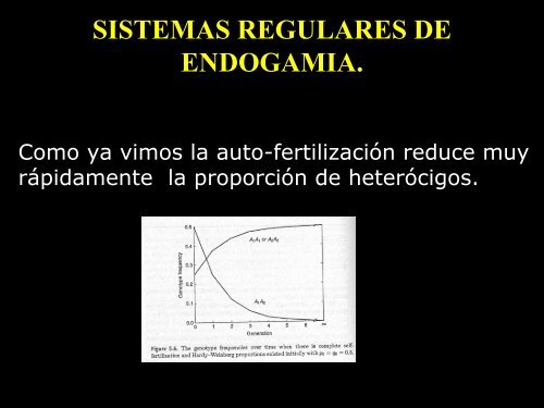 TEMA:ENDOGAMIA - UNAM