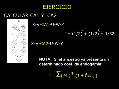 TEMA:ENDOGAMIA - UNAM