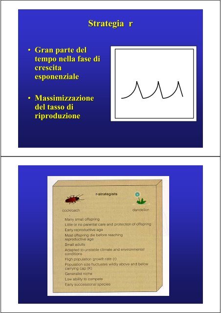 Popolazione - ZyXEL NSA210