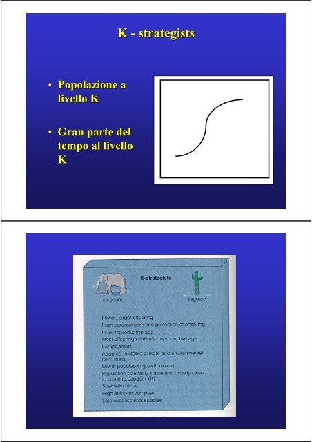 Popolazione - ZyXEL NSA210