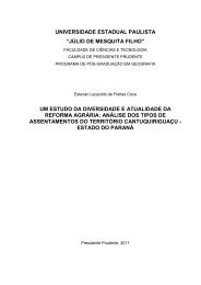 UNIVERSIDADE ESTADUAL PAULISTA âJÃLIO DE ... - UNESP