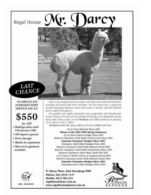 spits summer - the Hawkesbury Blue Mountains Alpaca Region