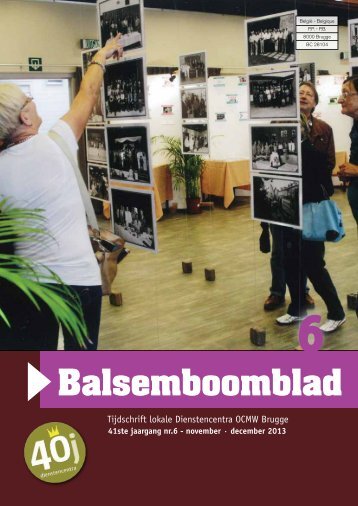 Balsemboomblad - Dienstencentra Brugge