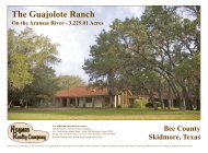 The Guajolote Ranch j - Haynes Realty