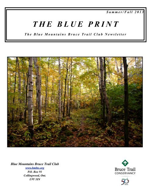 PDF of Blue Print Articles - Our newsletter - Blue Mountains Bruce ...