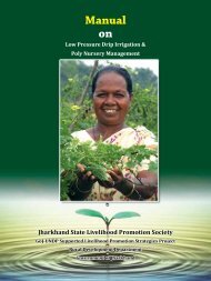 Manual on Low Pressure Drip Irrigation & Poly Nursery ... - JSLPS