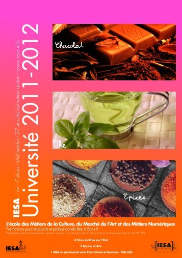 UniversitÃ© 2011-2012 - IESA
