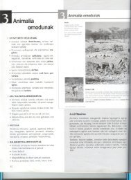 03 animalia ornodunak zuzen.pdf