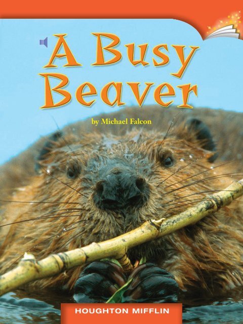 Lesson 6:A Busy Beaver