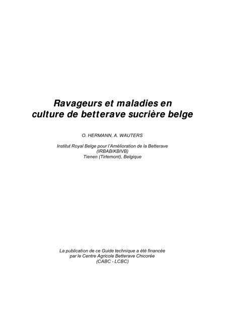 Ravageurs et maladies en culture de betterave sucriÃ¨re belge