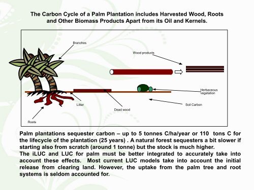 Palm Oil: A Success Story in Green Technology Innovations