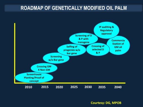 Palm Oil: A Success Story in Green Technology Innovations