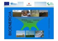 Baltic Biomass Network (BBN)