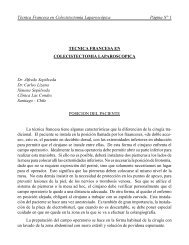 TÃ©cnica Francesa en ColecistectomÃ­a LaparoscÃ³pica PÃ¡gina NÂ° 1 ...