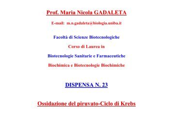 Ossidazione del piruvato - Biotecnologie