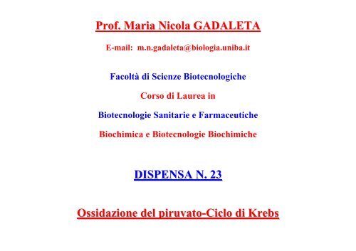 Ossidazione del piruvato - Biotecnologie