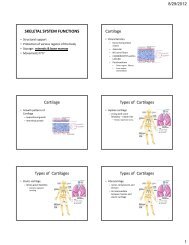 SKELETAL SYSTEM FUNCTIONS Cartilage Cartilage Types of ...