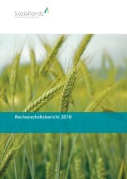 Rechenschaftsbericht 2010 - Sozialfonds Pensionskasse in ...