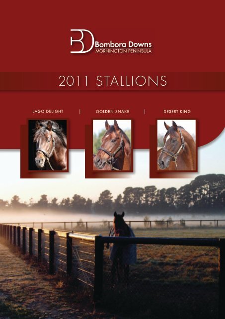 2011 STALLIONS - Bombora Downs