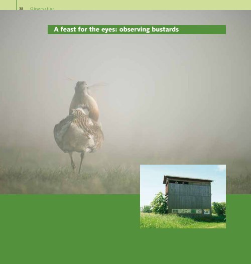 the Brandenburg ostrich - Landesamt fÃ¼r Umwelt, Gesundheit und ...