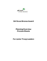 Girl Scout Bronze Award Planning Overview Process Sheets For ...