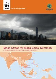 Mega-Stress for Mega-Cities: Summary - WWF