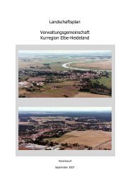 Landschaftsplan Verwaltungsgemeinschaft Kurregion Elbe-Heideland