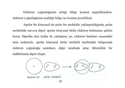 ikincil kimyasal etkileşimler - E-Universite