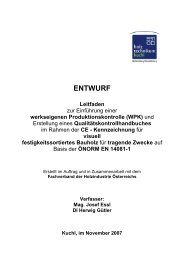 Leitfaden - CE-Kennzeichnung von Bauholz (November 2007)