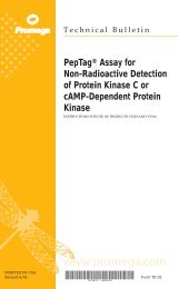 PepTag(R) Assay for Non-Radioactive Detection of Protein Kinase C ...