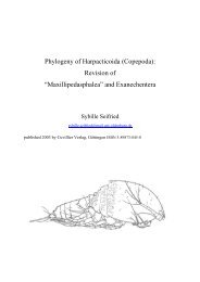 Phylogeny of Harpacticoida (Copepoda): Revision ... - Luciopesce.net
