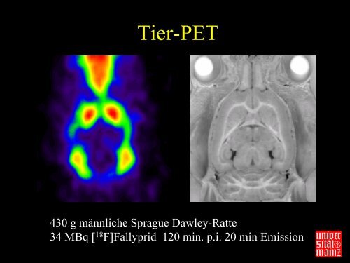 PET an der Universität Mainz (Bartenstein) (2973 KB - IFZN