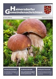 Gemeindezeitung 03-11 (1.007 KB) - Gemeinde Hainersdorf