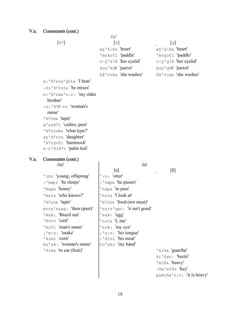 A Phonemic Analysis of the ApurinÃ£ Language