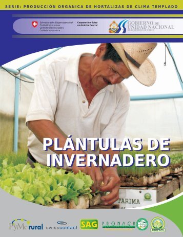 Plantulas de Invernadero - SITRural