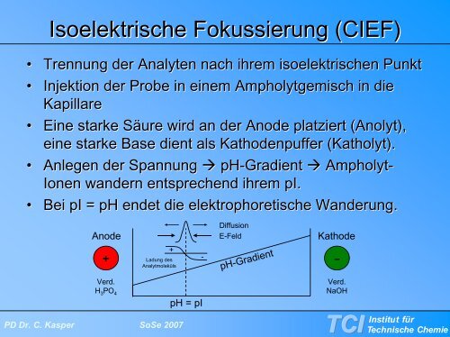Kapillarelektrophorese - TCI @ Uni-Hannover.de