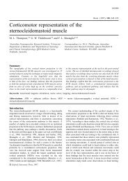 Corticomotor representation of the sternocleidomastoid muscle - Brain