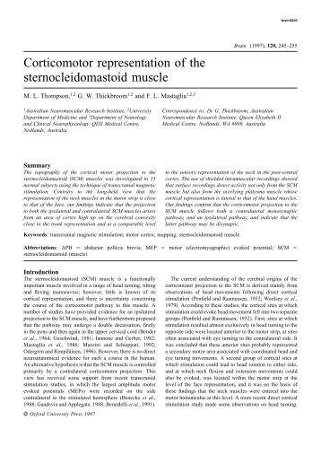 Corticomotor representation of the sternocleidomastoid muscle - Brain