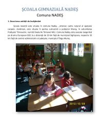 ŞCOALA GIMNAZIALĂ NADEŞ - Inspectoratul Şcolar Judeţean Mureş