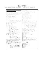 Nervous Tissue, Spinal Cord & Reflexes (labs 13, 15 & 16)