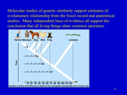 Evidence for Evolution.pdf